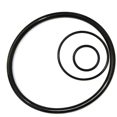 Manufacture High Quality Vitone FKM Seals Nitrile FPM Silicone Rubber O-Rings